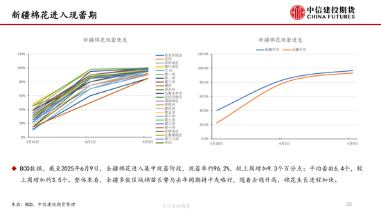 【棉花(🤦)纺谈】供应端阶段性缩量 疆棉基差坚挺